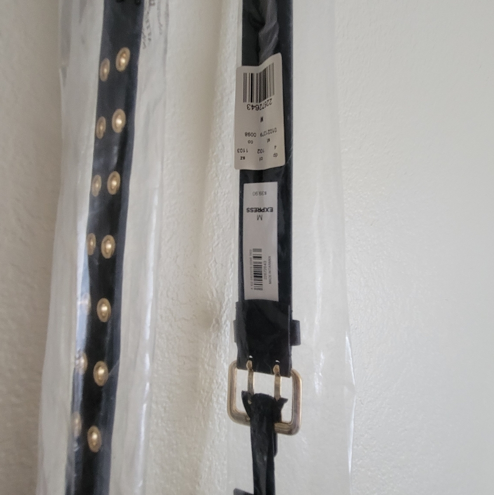EXPRESS Belt - Picture 3 of 4